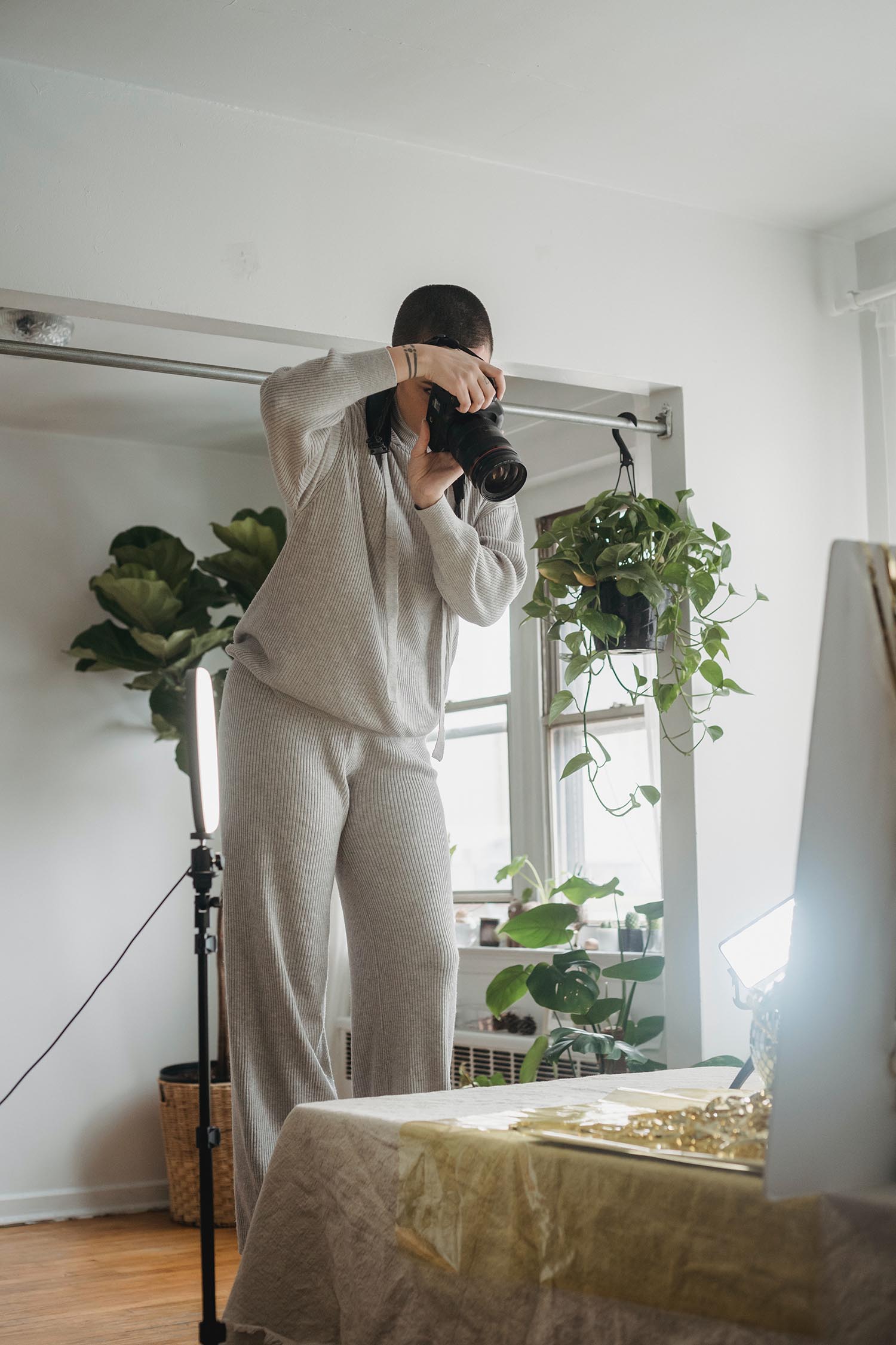 a person taking a picture of a plant